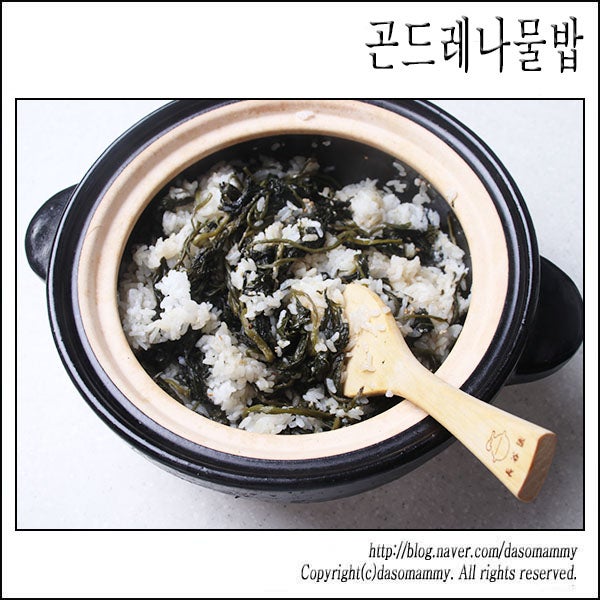 곤드레나물밥 레시피 건곤드레나물 삶는 법