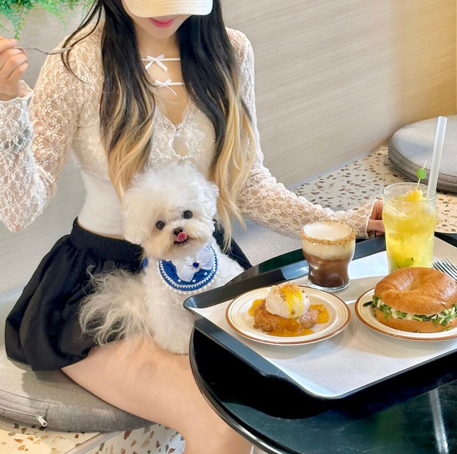 영종도 베이커리 카페 그리너리바스켓, 애견동반 대형카페 후기