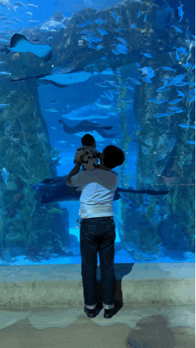 【首爾/蠶室】樂天世界水族館 / 帶5個月大寶寶參觀心得、小撇步、使用指南