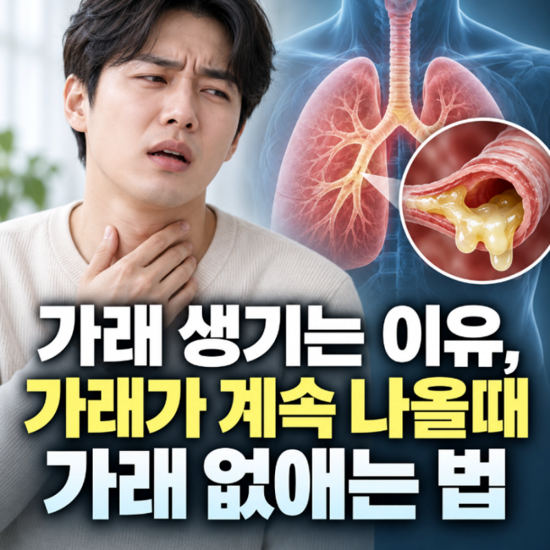 가래 생기는 이유, 가래가 계속 나올때 가래 없애는 법