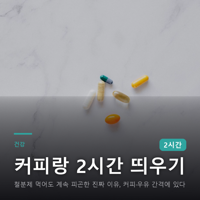 철분제 먹어도 계속 피곤한 진짜 이유, 커피·우유 간격에 있다