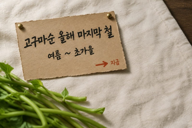 고구마줄기무침 올해 마지막 철, 지금 나온 건 3~4분 데칩니다