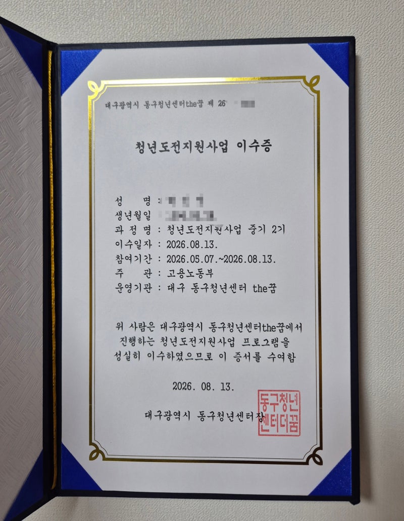 [솔직 후기] 대구 동구청년센터 the 꿈 '청년도전지원사업' 중기 2기를 마치며