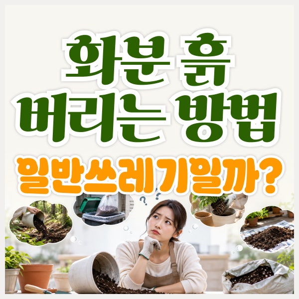 화분 흙 버리는 방법, 일반쓰레기에 그냥 버리면 될까?