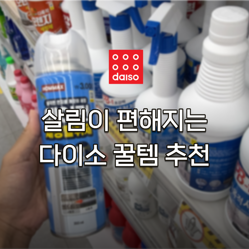 다이소에서 "이거" 사본 적 있으신가요? 다이소 숨은 꿀템 추천