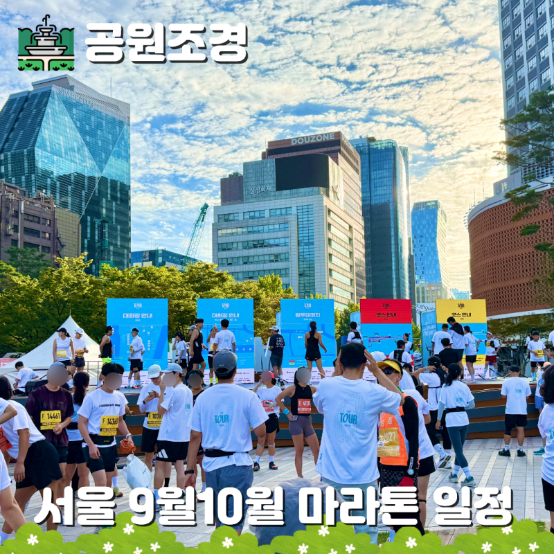 26년 9월 10월 서울 마라톤 일정소개와 아이와 가족 마라톤 후기