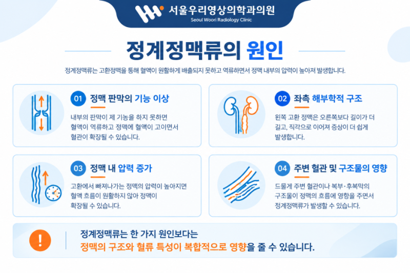 [서울우리영상의학과] 정계정맥류란?