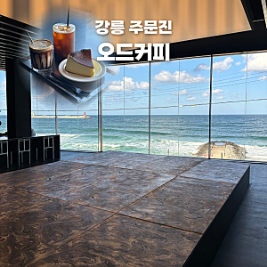 강릉 주문진 카페 오드커피, 도깨비 촬영지가 한눈에 보이는 오션뷰