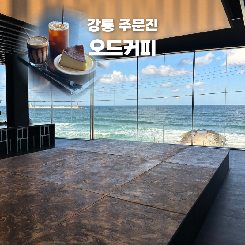 강릉 주문진 카페 오드커피, 도깨비 촬영지가 한눈에 보이는 오션뷰