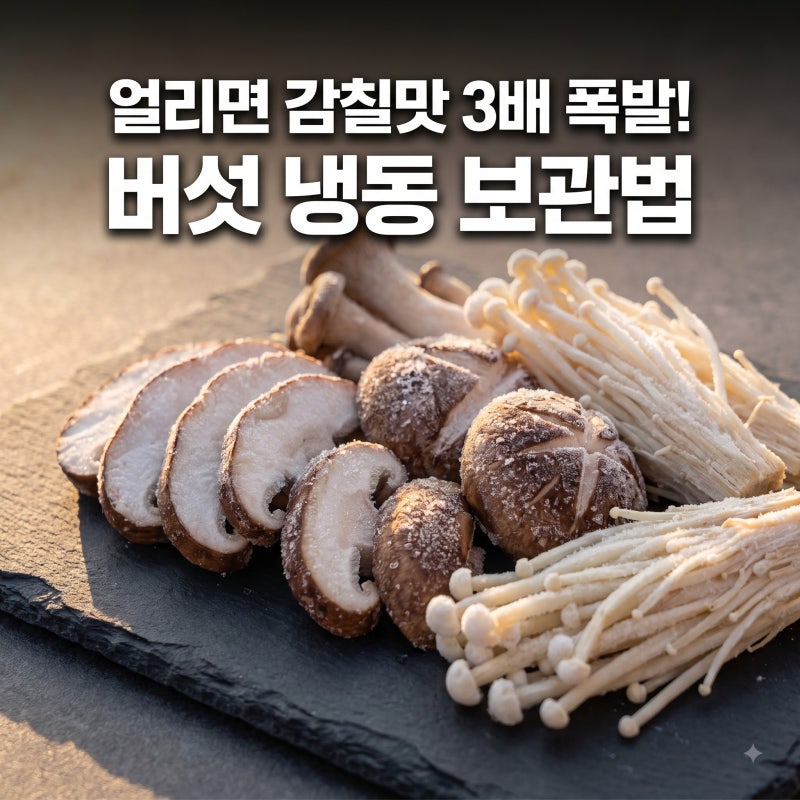 버섯 냉동 보관법 감칠맛 3배 높이는 얼리기 꿀팁