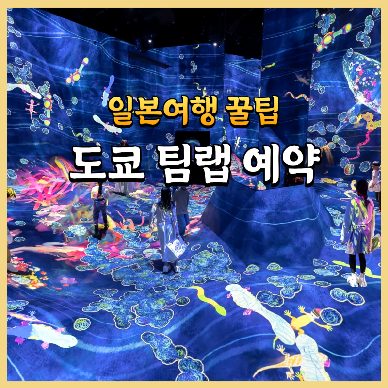 도쿄 팀랩 예약 플래닛과 보더리스 뭐가 다를까?