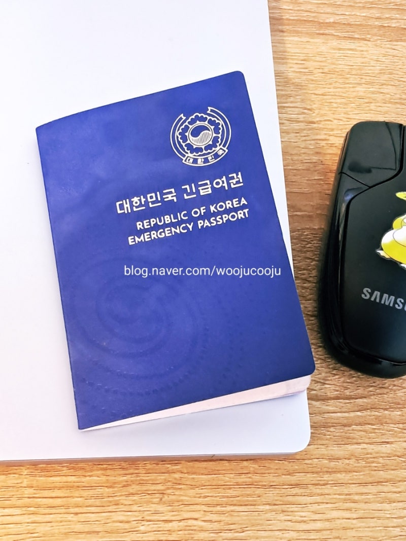 유효기간 3개월 남은 입출국 없는 단수여권 긴급 여권 일본 여행 사용 가능 여부