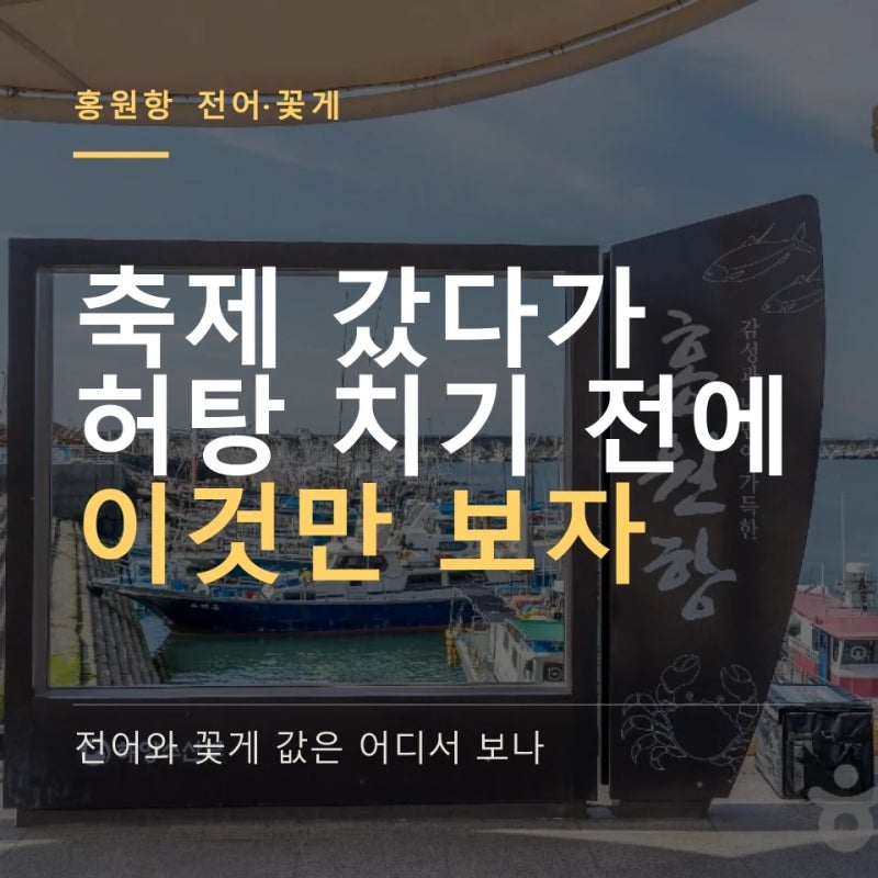 "지금 가도 되나요" 서천 홍원항 전어 꽃게 축제 시세 정보, 어판장에서 값 묻는 법