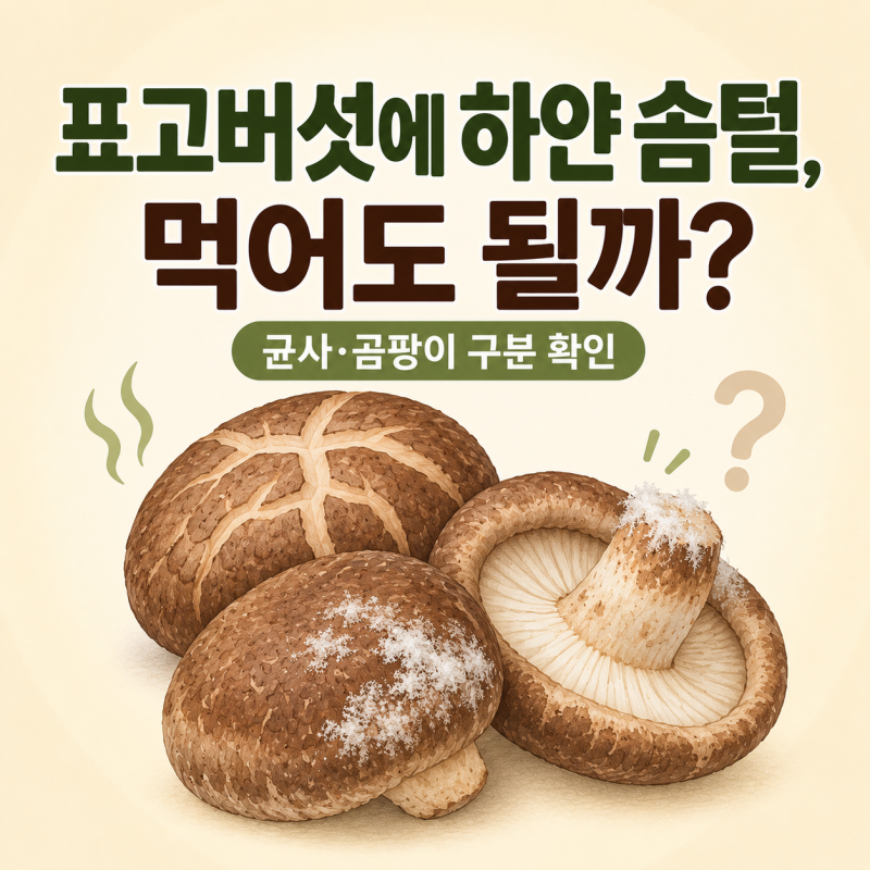 표고버섯에 하얀 솜털이 생겼을 때 먹어도 될까? 균사와 곰팡이 구분 기준