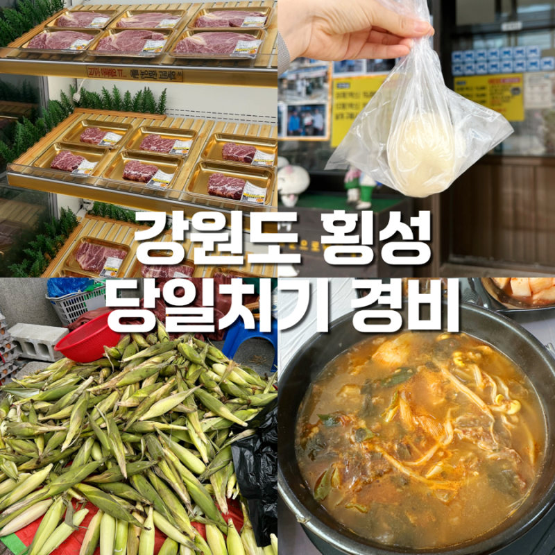 횡성 경비 총정리 반값여행 사용처 강원도 가족여행 후기