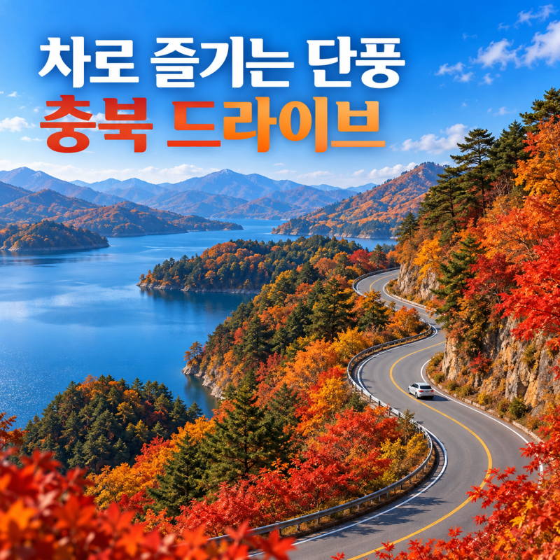 충북 단풍 드라이브 코스 추천｜말티재·청풍호·충주호 하루 여행