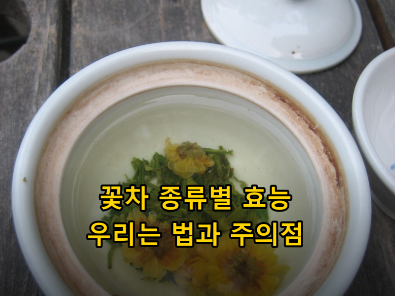 꽃차 종류별 효능 정리, 국화차·매화차·장미차·캐모마일 마시는 법과 주의점