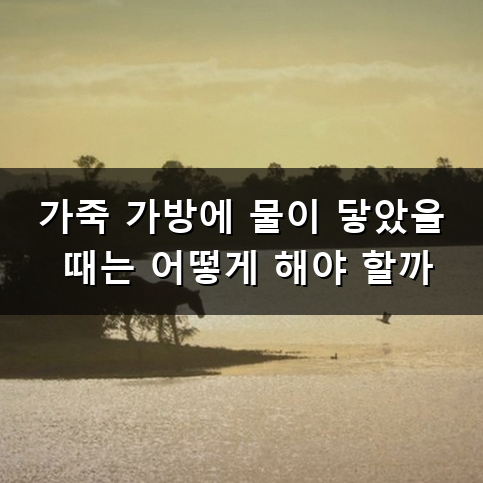 가죽 가방 관리법 비싸게 주고 산 백 오래 쓰는 비결