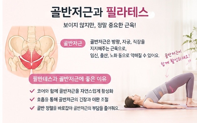 골반저근과 필라테스｜여성에게 중요한 이유