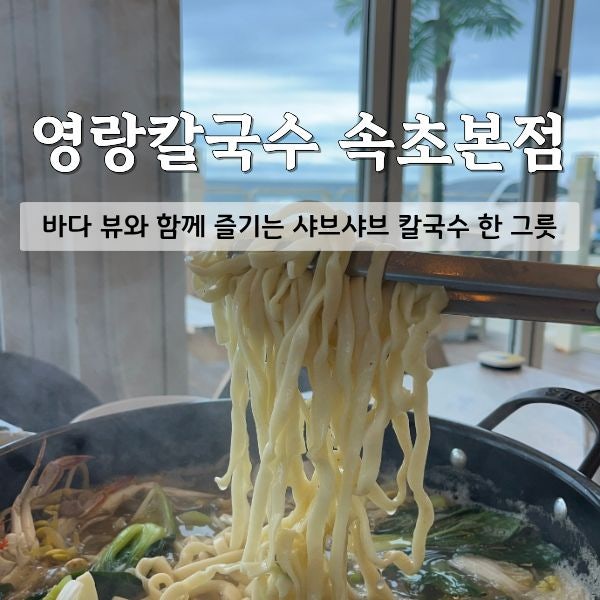 [속초맛집] 바다 뷰와 함께 즐기는 힐링 한 그릇! '영랑칼국수 속초본점' 솔직후기 (속초 애견....