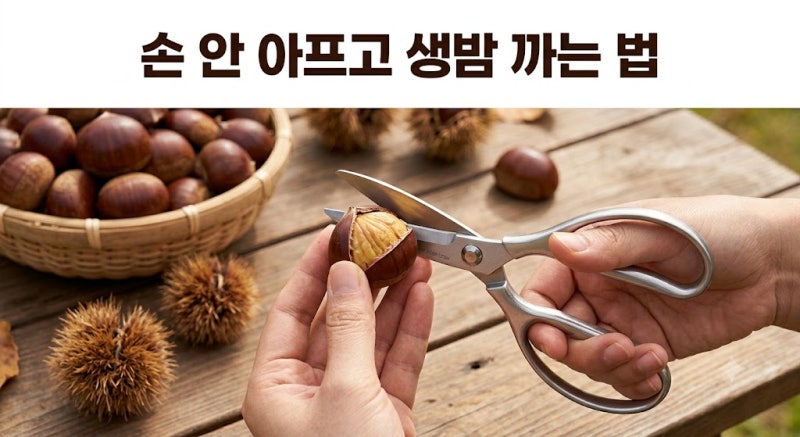 밤까는도구 추천 비교 및 손 안 다치고 생밤 쉽게 껍질 벗기는 법