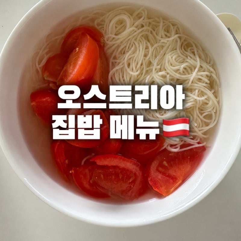 오스트리아 비엔나 집밥 모음 26년 9월