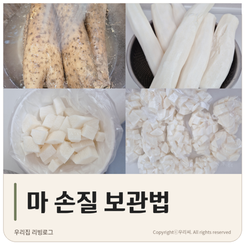 마 손질 보관법 3kg 소분 냉동하고 마주스까지 만들어본 후기