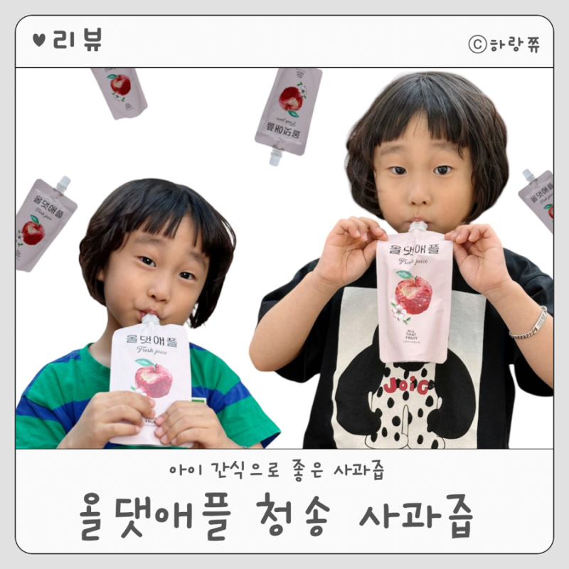 아이 간식으로 좋은 사과즙 | 청송사과로 만든 올댓애플 청송 사과즙