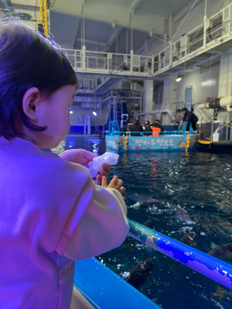 제주도 아이랑 가볼만한 곳 아쿠아플라넷제주 투명보트타기 & 먹이주기체험