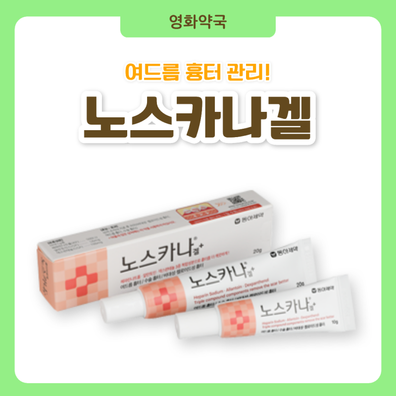 동대문역약국 여드름 흉터연고 노스카나겔, 성분과 사용법 정리!