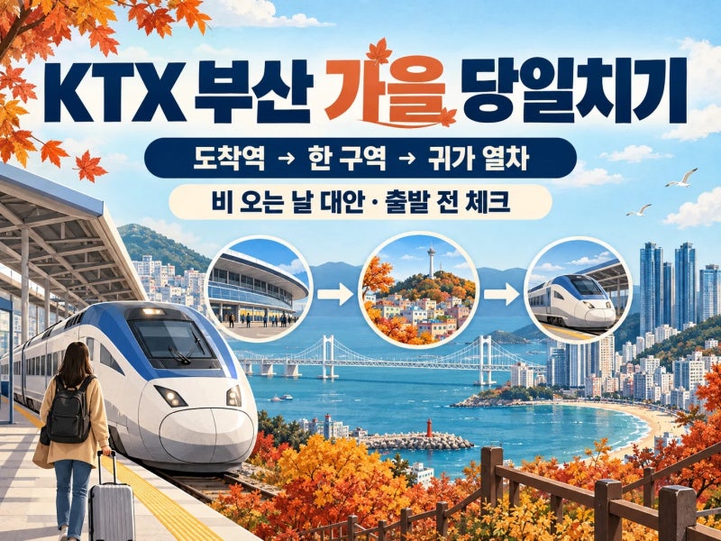 부산 당일치기, 명소보다 KTX 도착역과 귀가 열차부터 정하세요
