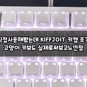 직접사용해봤는데 KIFFJOIT 키캡 조각 고양이 키보드 실제로써보고느낀점