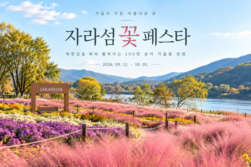 2026 자라섬 꽃 페스타 주차·입장료·가을꽃 총정리｜가평 가볼만한곳