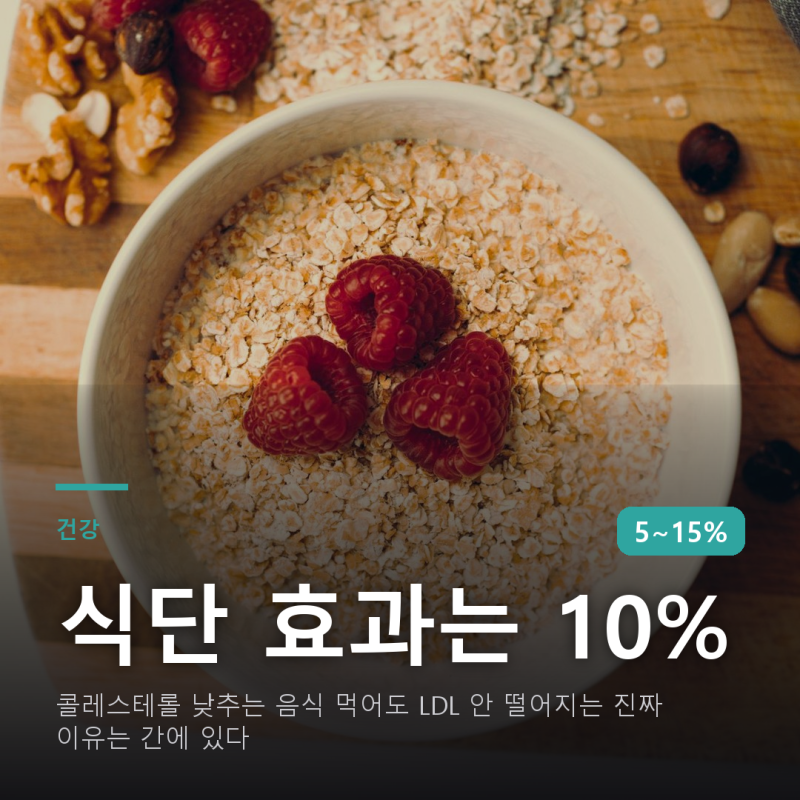 콜레스테롤 낮추는 음식 먹어도 LDL 안 떨어지는 진짜 이유는 간에 있다