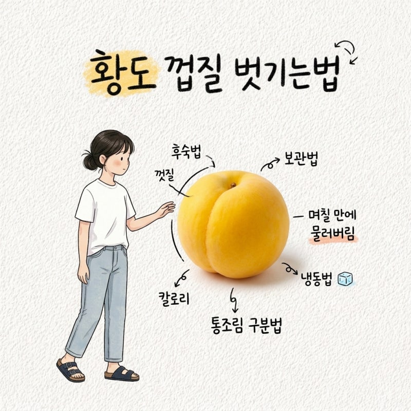 황도 보관법 황도 후숙법 황도 껍질 벗기는법 통조림 구분법 냉동법 칼로리