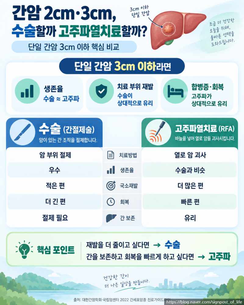 간암 2cm·3cm,수술할까 고주파열치료할까?간암 시리즈 5편
