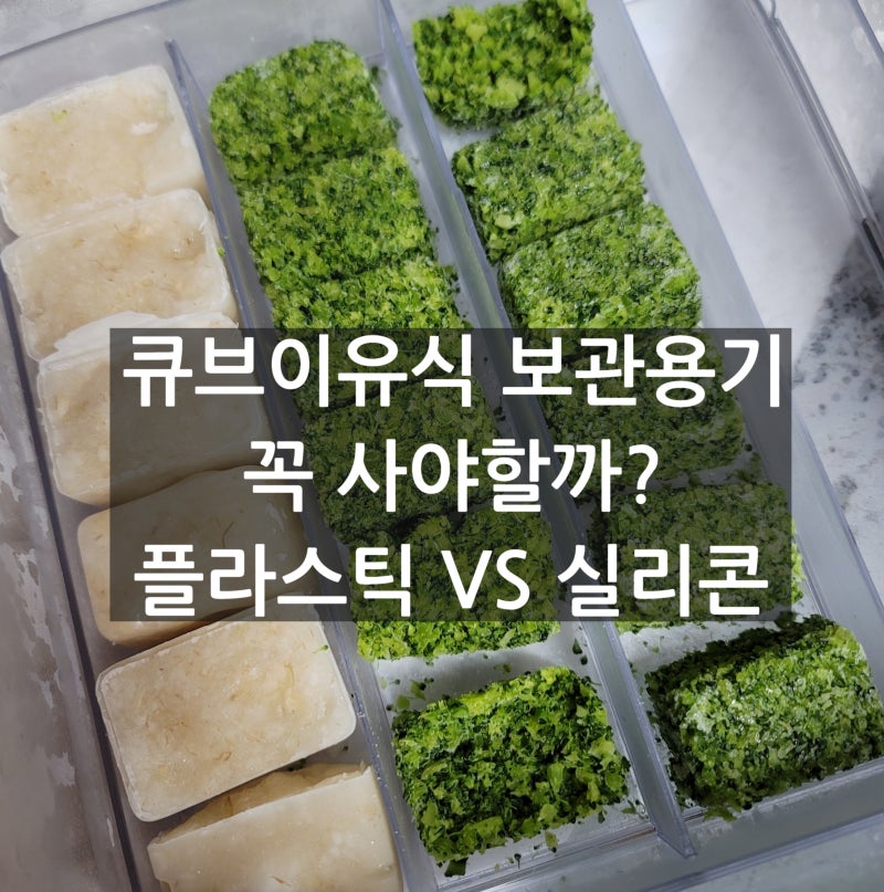 이유식 큐브 보관용기 꼭 필요할까? 창신리빙 스카이락 vs 퍼기 다담아 실리콘 플라스틱 비교