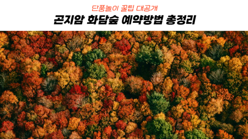 곤지암 화담숲 예약 방법 2026 오픈 날짜 단풍시기 모노레일 꿀팁 총정리