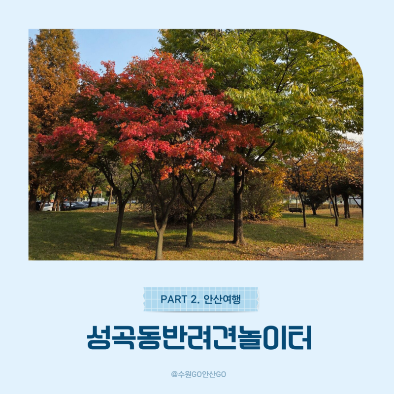 안산 가볼만한곳 성곡반려견놀이터 가을 단풍 명소 총정리