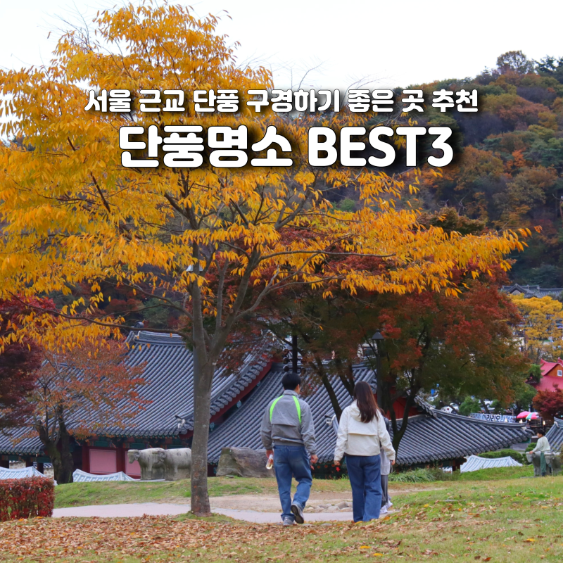 서울 경기도 단풍 명소 추천 가을 단풍구경 BEST 3
