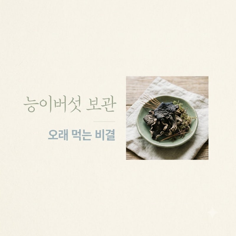 "그냥 냉장고 넣으면 다 망쳐요".. 1kg에 수십만원 능이버섯, 한 달 뒤에도 싱싱한 보관법의 정....