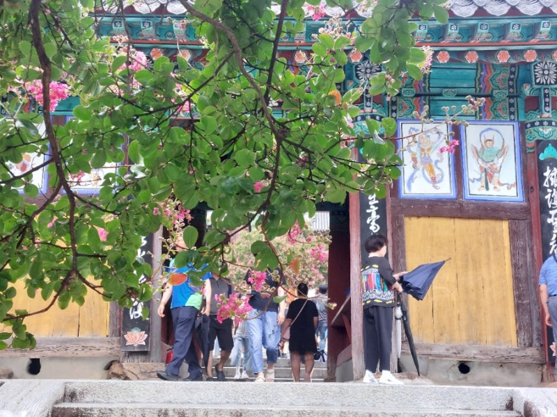 아침 간식 추천 검은콩 병아리콩 두유 만들고, 두유제조기로 시작한 미니멀 라이프