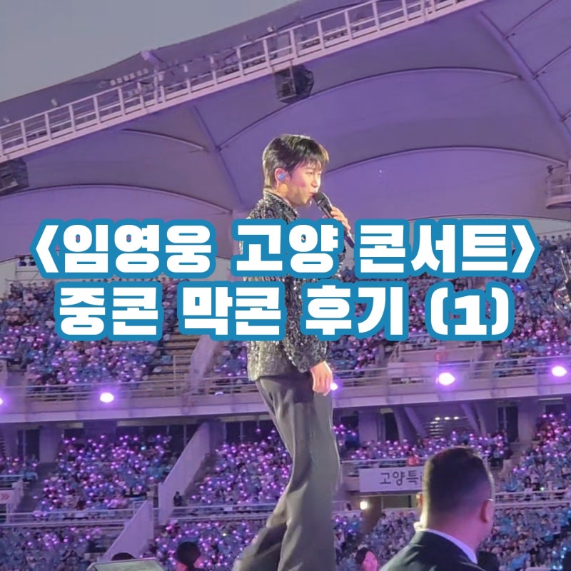 임영웅 고양 콘서트 후기, 7년차 남자팬이 이틀연속 본 이유 (1)