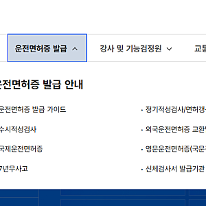 경찰서 대기 0분! 운전면허증 재발급 및 적성검사 온라인 신청법 (수수료, 준비물)
