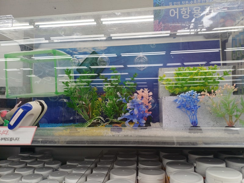 초보자도 부담 없이 시작하는 구피 어항 준비물 총정리 어항꾸미기 다이소에서 하세요 !!