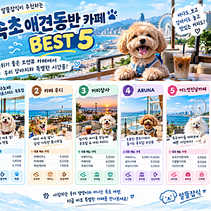 알뜰잡식이 추천하는속초 애견동반 오션뷰 카페 BEST 5