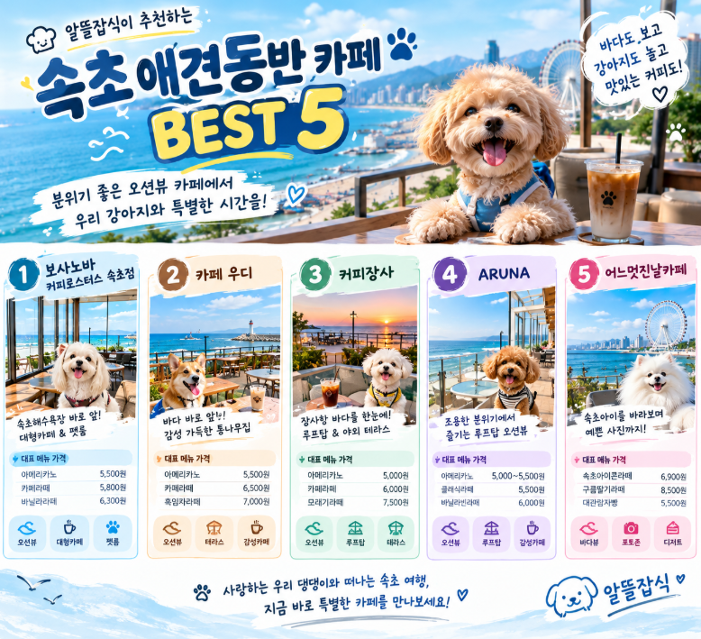 알뜰잡식이 추천하는속초 애견동반 오션뷰 카페 BEST 5