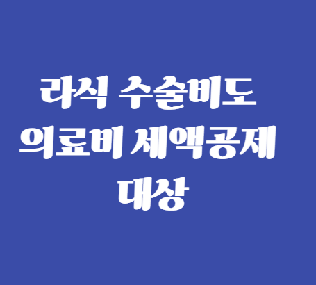 라식 수술비도 의료비 세액공제 대상입니다