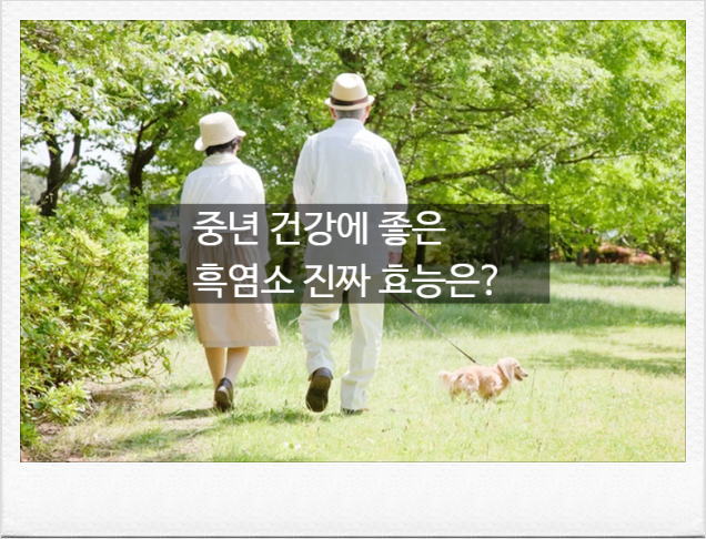 부모님 선물 1위 흑염소진액, 진짜 효과 있을까? 연구로 밝혀진 효능부터 부작용까지 정리
