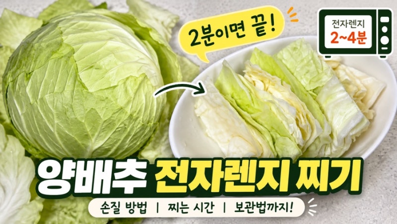 양배추 전자렌지 찌기 초간단 방법｜씻는 법부터 보관까지